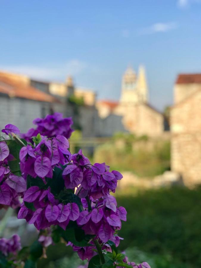 Apt Bobotovi In Center Of Stari Grad, Hvar Apartamento Stari Grad  Exterior foto